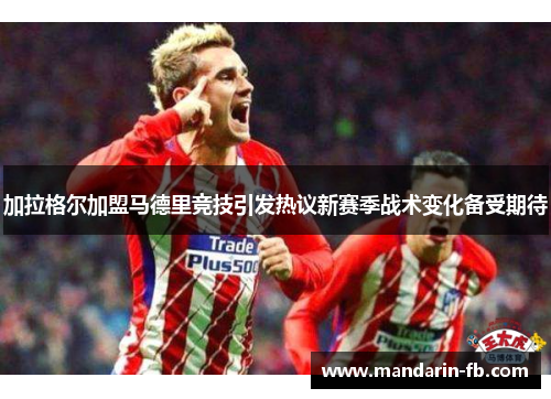 加拉格尔加盟马德里竞技引发热议新赛季战术变化备受期待