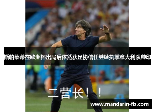 斯帕莱蒂在欧洲杯出局后依然获足协信任继续执掌意大利队帅印