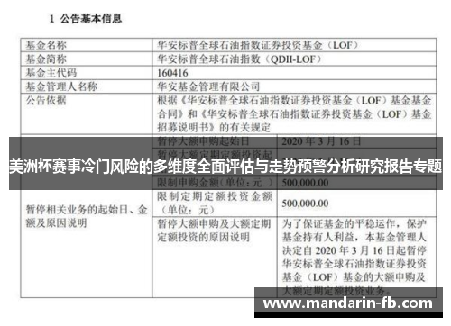 美洲杯赛事冷门风险的多维度全面评估与走势预警分析研究报告专题