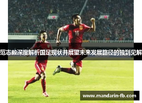 范志毅深度解析国足现状并展望未来发展路径的独到见解